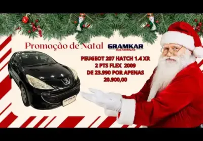 Peugeot 207 xr 2pts 1.4 flex 2009