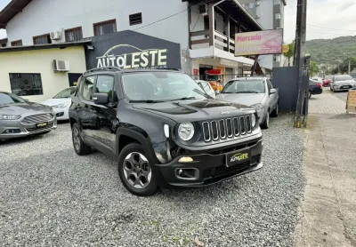 Renegade 2016 manual 