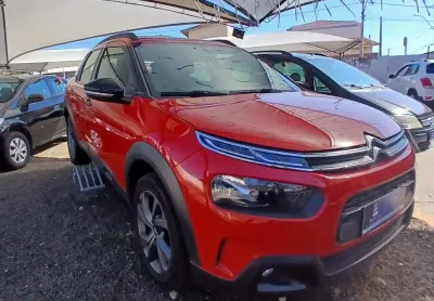 C4 cactus 