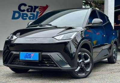 Byd dolphin mini 2025 38 kw elétrico