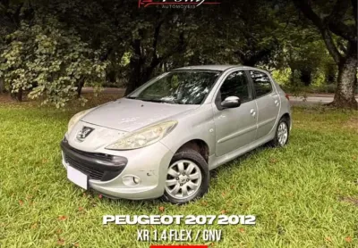 Peugeot 207 2011 1.4 xr 8v flex 4p manual