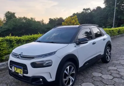 C4 cactus f eel