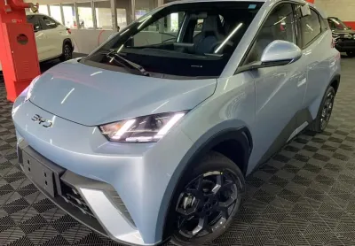 Byd dolphin mini (elétrico)