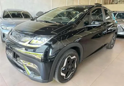 Byd dolphin gs 180ev 2024