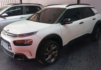 C4 cactus novíssimo 