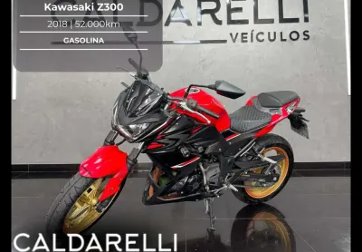 Kawasaki kawasakz300 abs 2018