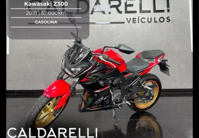 Kawasaki kawasakz300 abs 2018