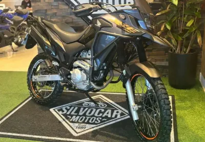 Xre 300/ 300 abs/ flex