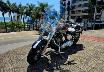 Harley-davidson fat boy flstf 2010