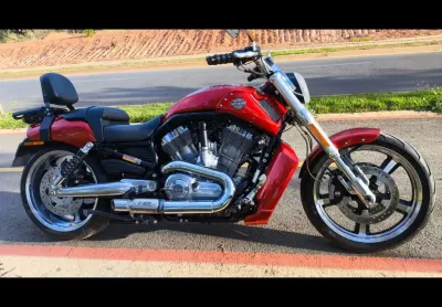 V-rod 1250cc muscle vrscf