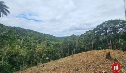 Terreno à venda, 6180 m² por R$ 310.000,00 - Jardim Petrópolis - Nova Lima/MG