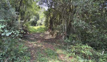 Área de terras - Bairro Floresta - Estância Velha