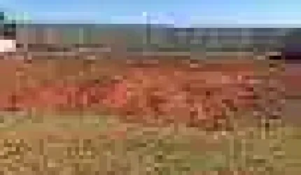 Terreno plano no Cond Vivendas da Mata