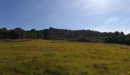 Chácara, 34.570 m², à venda por R$ 490.000 Contenda - São José dos Pinhais/PR