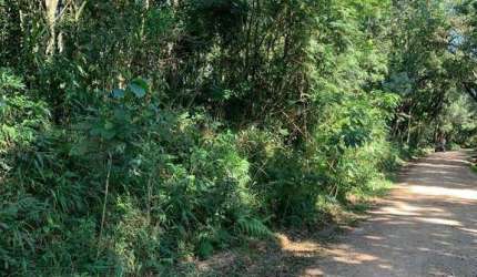 Chácara à venda, Rodeio Santo Antonio, BALSA NOVA - PR
