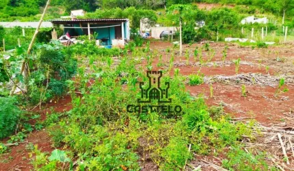 Chácara com 2 dormitórios à venda, 5250 m² por R$ 425.000,00 - Limoeiro - Londrina/PR