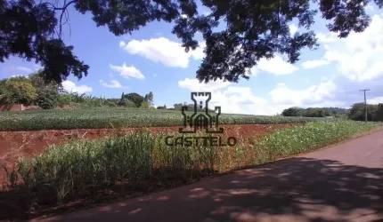 Sítio à venda, 121000 m² por R$ 4.000.000,00 - Coroados - Londrina/PR