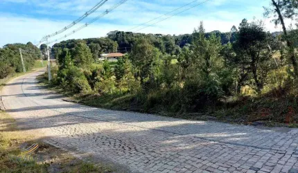 Chácara / sítio à venda na Rua Carlos Kusma, Zona Rural, São José dos Pinhais, 10680 m2 por R$ 330.000