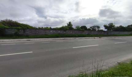 Terreno em Papagaio  -  Feira de Santana