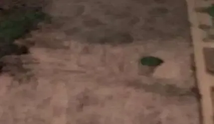 Terreno em Feira de Santana