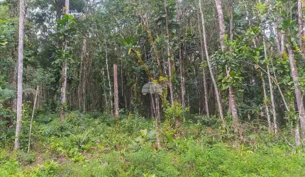 Terreno à venda na RUA ESTRADA DO FAISQUERINHA, 15, Faisqueira, Antonina, 23781 m2 por R$ 99.900