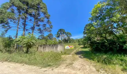 Chácara / sítio à venda na ESTRADA CHIMBOVEIRO, 000, Chimboveiro, Mandirituba, 57000 m2 por R$ 1.200.000