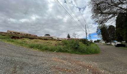 Terreno à venda na Rua Nestor Alves de Campos, 841, Uvaranas, Ponta Grossa, 495 m2 por R$ 85.000