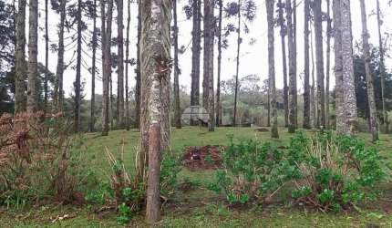 Chácara / sítio à venda na Estrada da Roseira, 200202, São Sebastião, São José dos Pinhais, 1365 m2 por R$ 180.000
