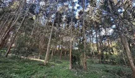Terreno à venda na ESTRADA ZONA RURAL, 00, Zona Rural, Coronel Vivida por R$ 1.398.000
