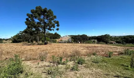 Terreno à venda na Rua João Bernardi Filho, 06, Cadorin, Pato Branco por R$ 321.390