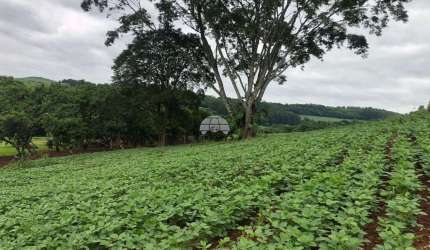 Terreno à venda na DISTRITO ZONA RURAL, 00, Zona Rural, Pato Branco, 260170 m2 por R$ 2.800.000