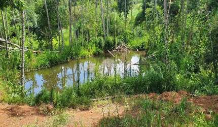 Chácara / sítio à venda na RUA PASSO DA ILHA, 00, Zona Rural, Pato Branco, 20000 m2 por R$ 349.000