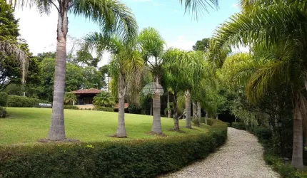 Chácara / sítio com 5 quartos à venda na Rua Três Lagos, Colônia Revier, Campo Largo, 24200 m2 por R$ 1.800.000