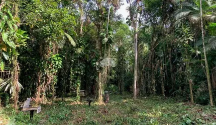Terreno à venda na ESTRADA DA CAPITUVA, 1043, Zona Rural, Morretes por R$ 450.000