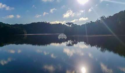Chácara / sítio à venda na ESTRADA BR 376 KM 54, 54, Vossoroca, Tijucas do Sul por R$ 380.000