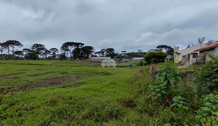 Terreno comercial à venda na Rua Pastor Adolfo Weidmann, 1542, Guarituba, Piraquara por R$ 499.000