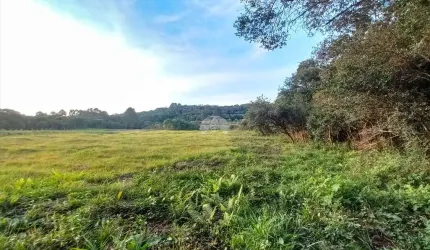 Terreno comercial à venda na Rodovia BR-376, 00, Campo Largo da Roseira, São José dos Pinhais, 34570 m2 por R$ 490.000
