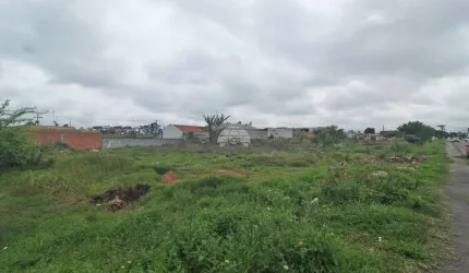 Terreno comercial para alugar na Rua Professora Nilce Terezinha Zanetti, 213, Jardim Paulista, Campina Grande do Sul, 600 m2 por R$ 1.250