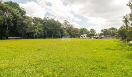 Terreno comercial para alugar na Rua Antônio Zanon, 09, Tatuquara, Curitiba, 3600 m2 por R$ 7.500