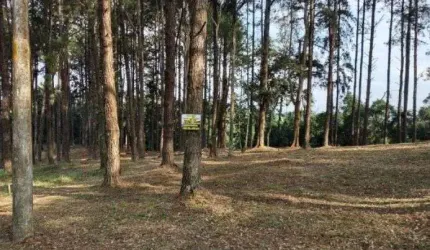 Terreno à venda, 1156 m² por R$ 850.000,00 - Residencial Morada dos Lagos - Barueri/SP