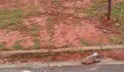 Terreno à venda, 126 m² por R$ 265.000 - Chácaras do Peroba - Jandira/SP