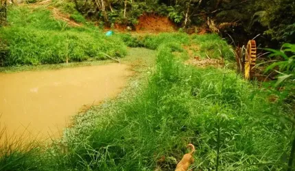 Chácara à venda, 48400 m² por R$ 1.750.000 - Area Industrial Mitra - Campina Grande do Sul/PR