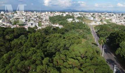 TERRENO PERFEITO PARA CONDOMÍNIO DE APTOS MINHA CASA MINHA VIDA.  EXCELENTE LOCALIZAÇÃO DO BAIRRO SÃO GABRIEL EM COLOMBO.