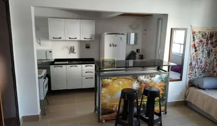 Kitnet Mobiliada Para Alugar em Pinheiros