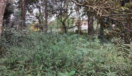TERRENO DE ESQUINA - 586,2 m² - Bairro gramado -  Cotia/SP