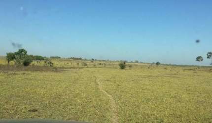 Fazenda à venda na Zona Rural, Duerê , 500 m2 por R$ 20.000.000