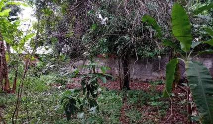 Terreno à venda na Estrada do Bananal, 1180, Freguesia (Jacarepaguá), Rio de Janeiro, 2440 m2 por R$ 3.550.000