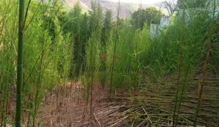 Terreno à venda na Rua Barão, Praça Seca, Rio de Janeiro, 2478 m2 por R$ 460.000