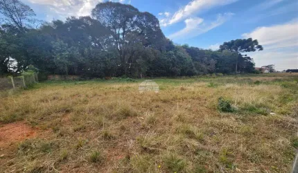 Terreno comercial para alugar na Rua Antônio Bizetto, 14, Vila Ferrari, Campo Largo, 682 m2 por R$ 1.000