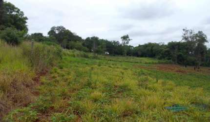 Terreno à venda, 2000 m² por R$ 300.000,00 - Cafezal - Londrina/PR